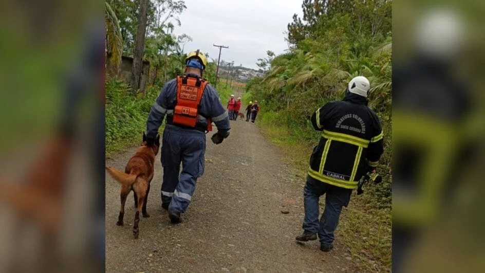 Buscas com cães (Foto: CBVA, Divulgação)