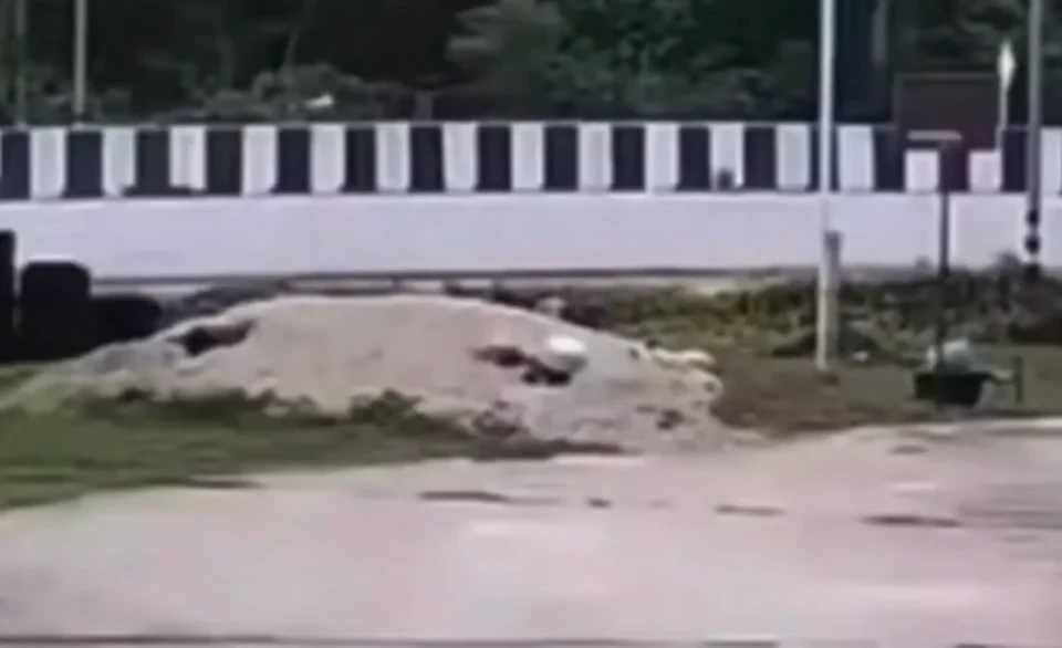 IMAGENS FORTES: Menino de 11 anos atr0pela e m4ta 11 monges budistas na Tailândia; VEJA VÍDEO