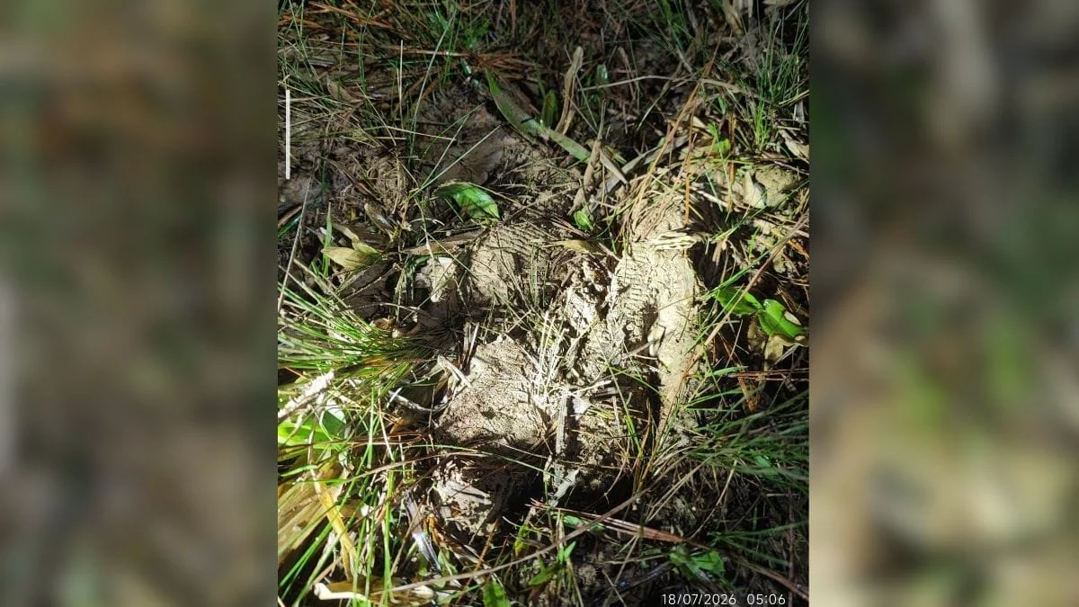Pegadas deixadas pelo idoso (Foto: CBMSC, Divulgação)