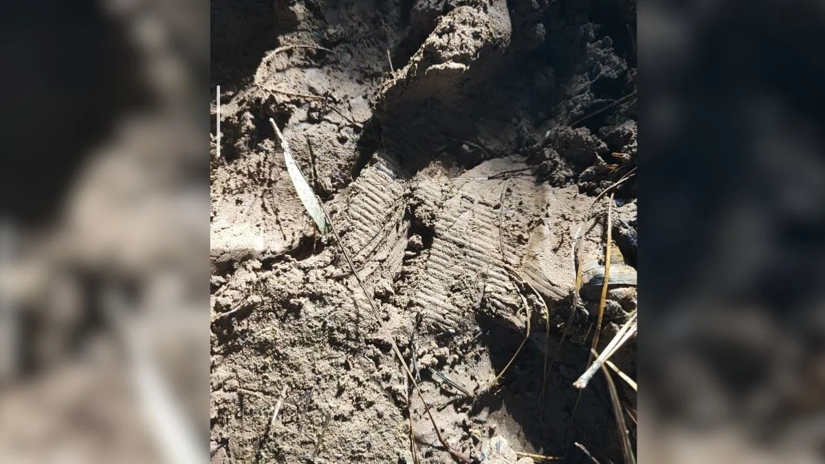 Pegadas deixadas pelo idoso (Foto: CBMSC, Divulgação)