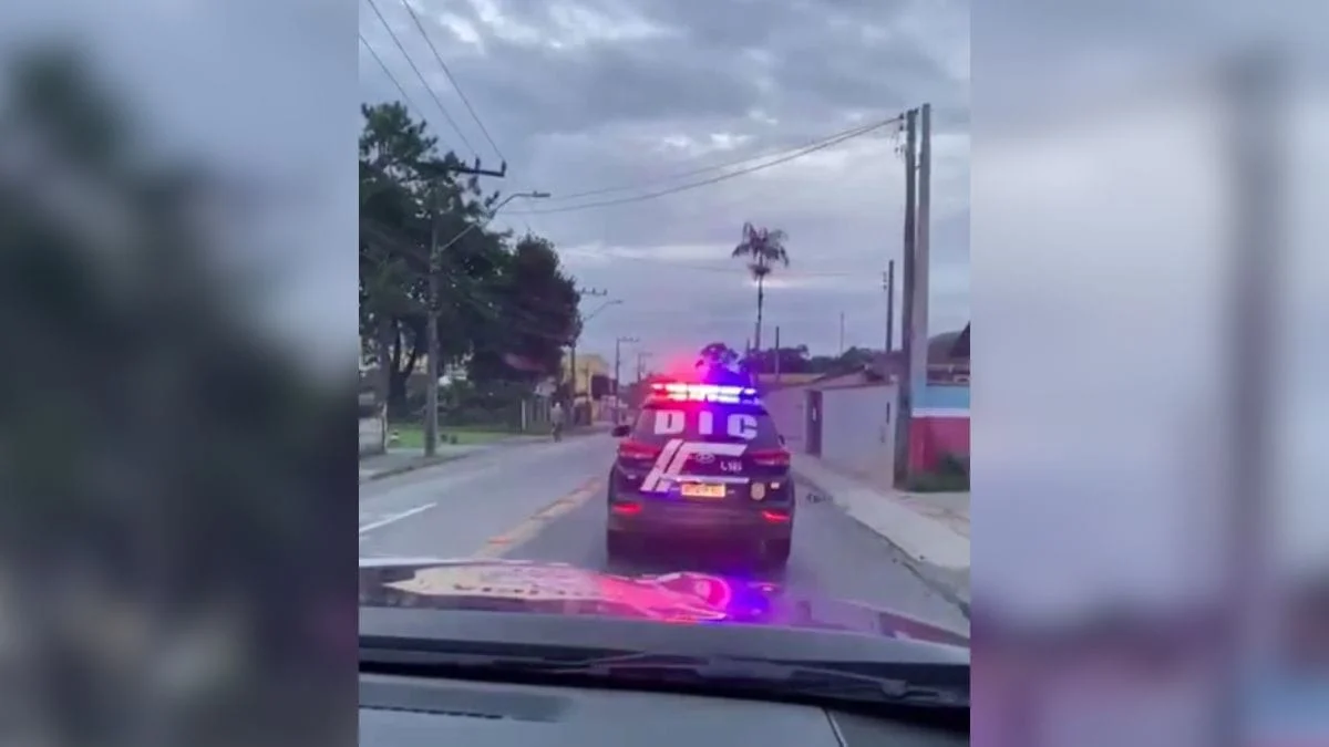 Resgate foi feito pela Polícia Civil (Foto: PC, Divulgação)