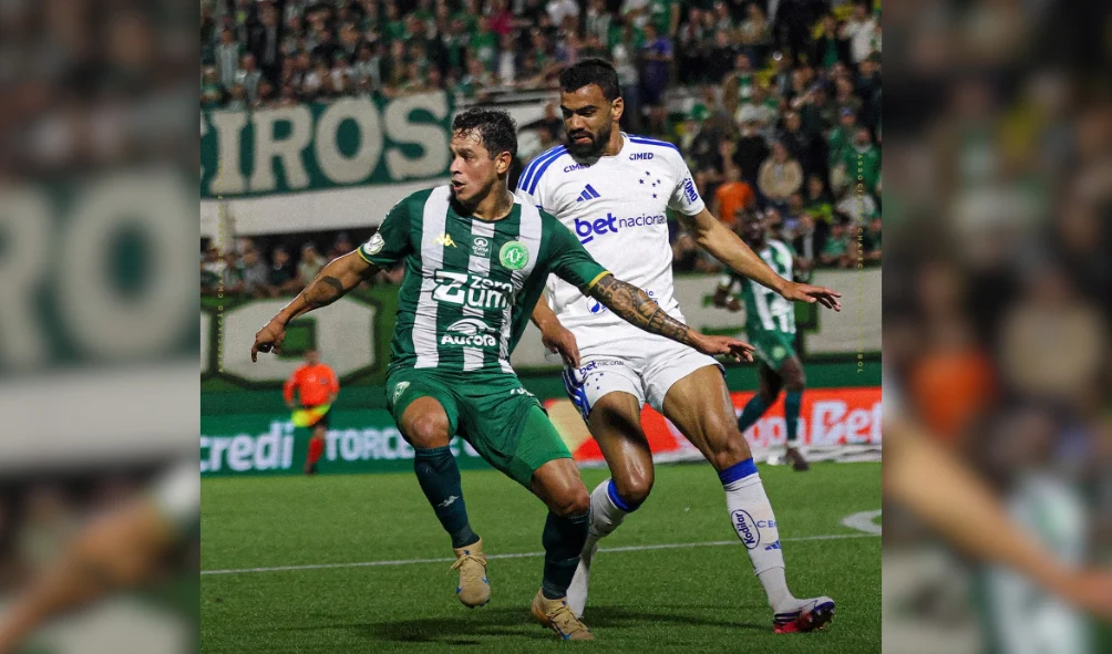 (Foto: João Pedro Zatta Grolli)