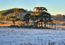 Frio ganha força e fim de semana terá tempo firme em Concórdia e região