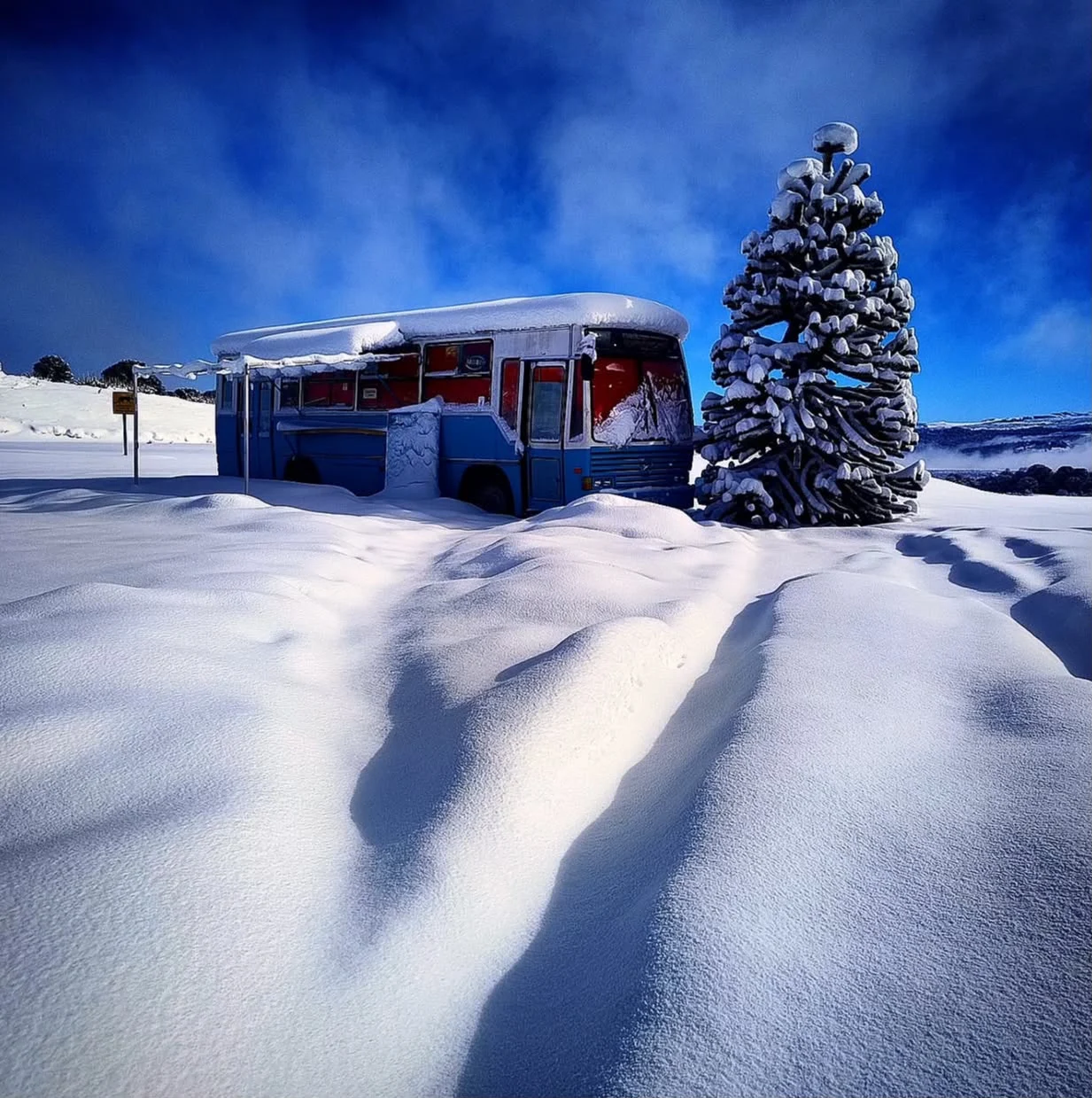 Imagens feitas por Ribamar impressionam pela quantidade de neve na região (Foto: Arquivo Pessoal)